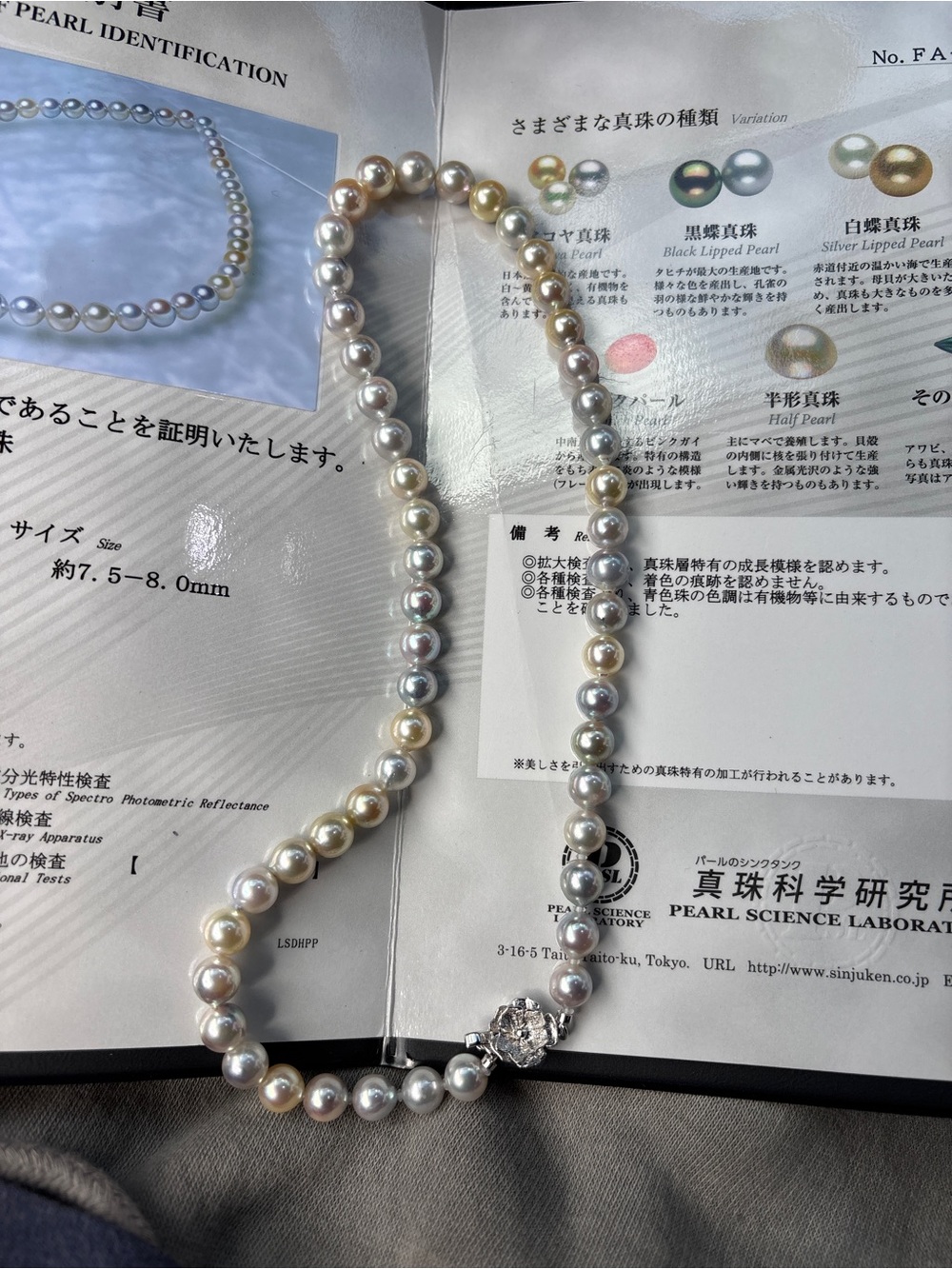 Multicolor Cultured Pearl Necklace with Decorative Clasp